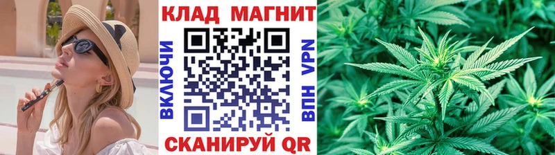 Купить закладку Бошки Шишки МЕФ Псилоцибиновые грибы ГАШИШ COCAIN Нолинск