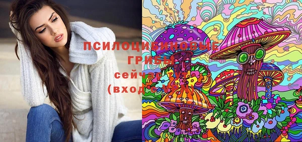 твердый Кинешма