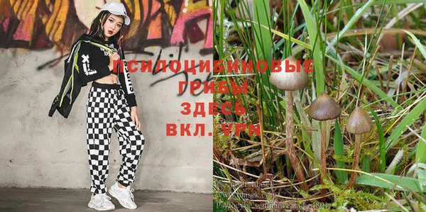 круглые Киренск